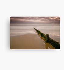 Groynes Canvas Print
