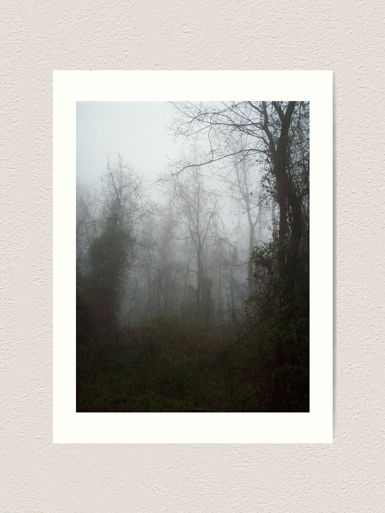 Alternate view of Misty Forest Art Print
