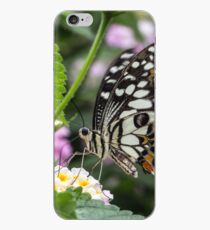 Macro Butterfly on Flowers iPhone Case