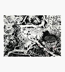 Untitled Photographic Print