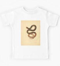 North American Herpetology A Desciption of the Reptiles Inhabiting the United States Chichowski John Edwards Holbrook 1836 0220 Snake Kids Tee