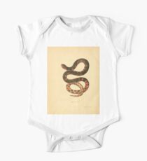 Body de manga corta para bebé North American Herpetology A Desciption of the Reptiles Inhabiting the United States Chichowski John Edwards Holbrook 1836 0220 Snake