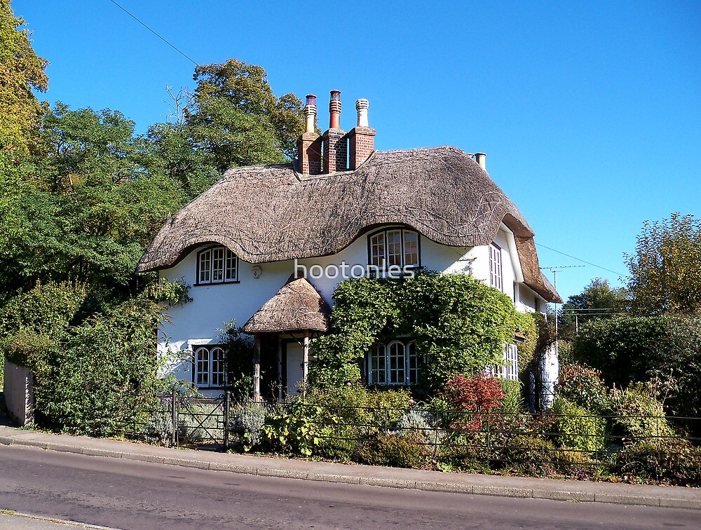 cottage hire new forest