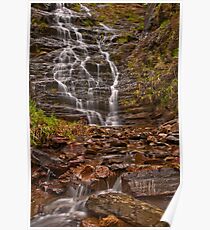 Margaret Falls Poster