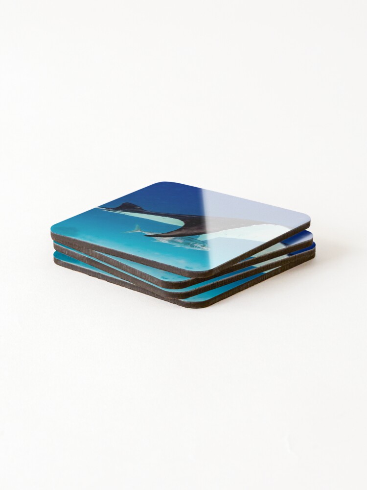 Alternate view of Manta companion Coasters (Set of 4)