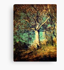 Branching Off Canvas Print