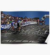 Cadel Evans Poster