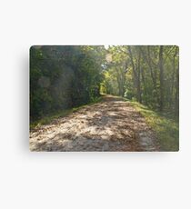 The Trail Metal Print
