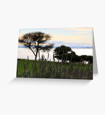 Lavendar Greeting Card