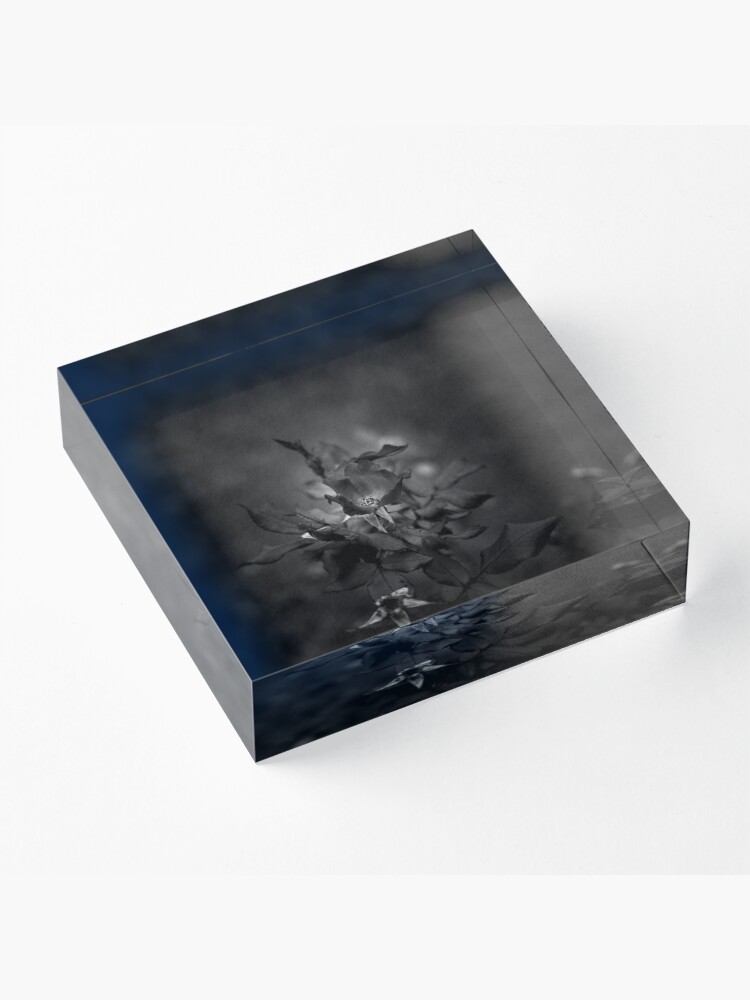 Alternate view of In Memory of the Loving Rose (Black and White) Acrylic Block