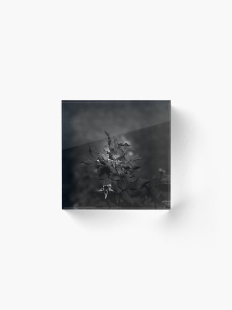 Alternate view of In Memory of the Loving Rose (Black and White) Acrylic Block