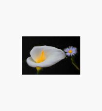 Calla Lily and Friend Art Board Print