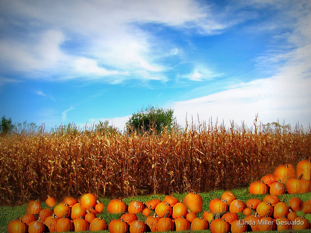 "Autumn In Iowa Fields" by Linda Miller Gesualdo Redbubble