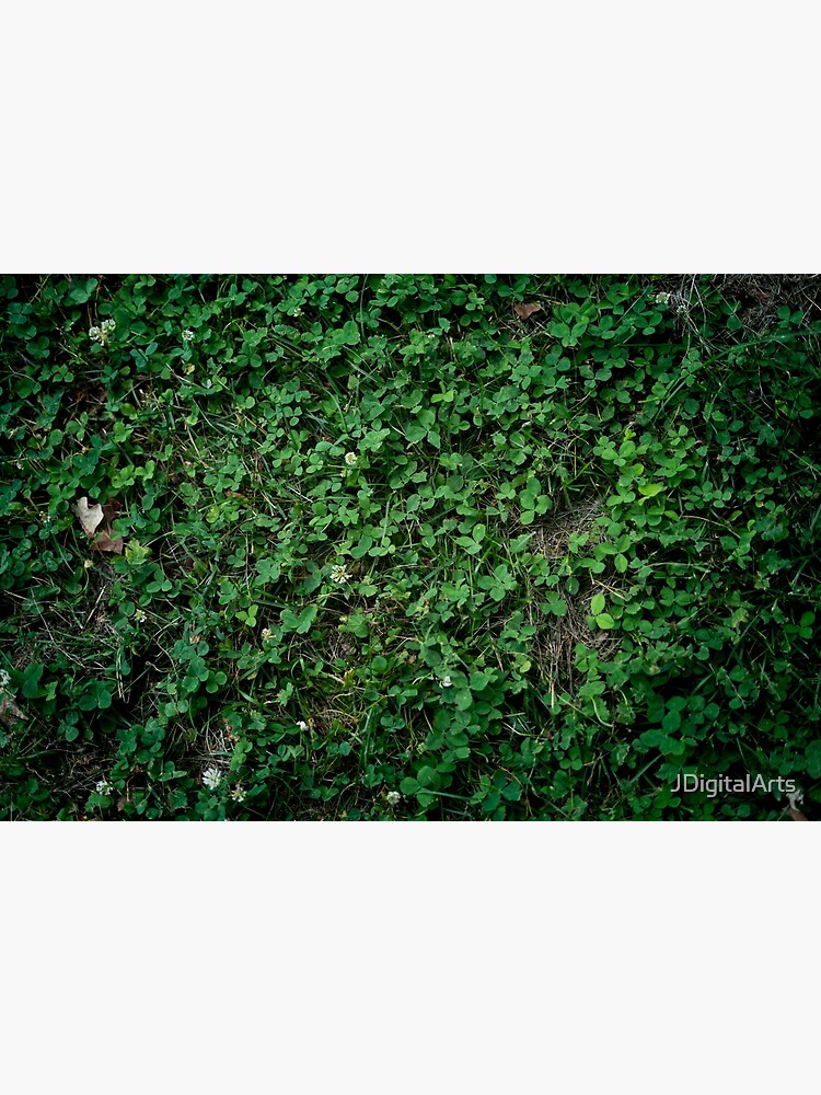 Leafy Wall by JDigitalArts