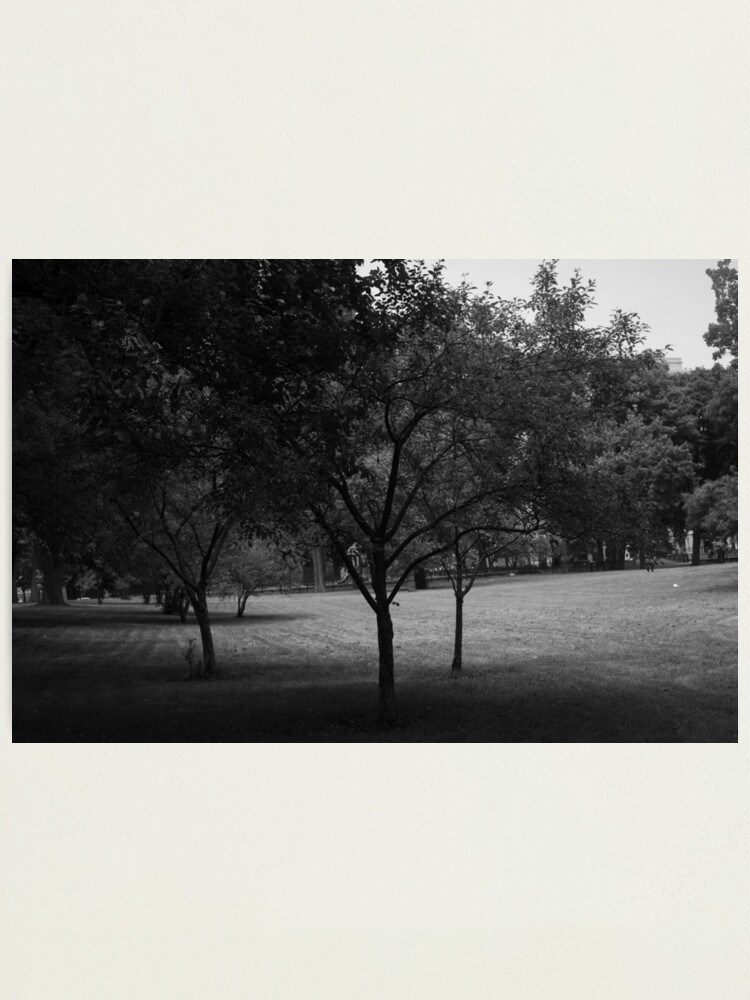 Alternate view of Hyde Park - Chicago Photographic Print