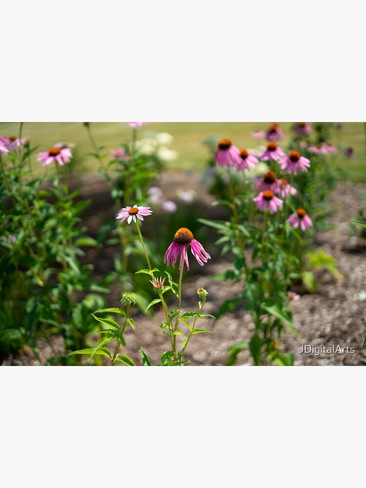 Summer's Lovely Flowers #3 by JDigitalArts