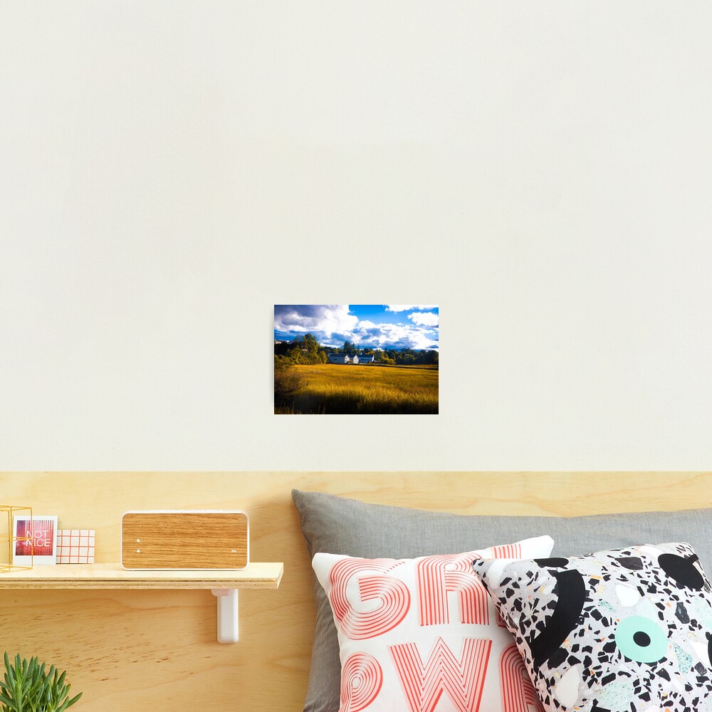 Salt Marsh Homes Photographic Print