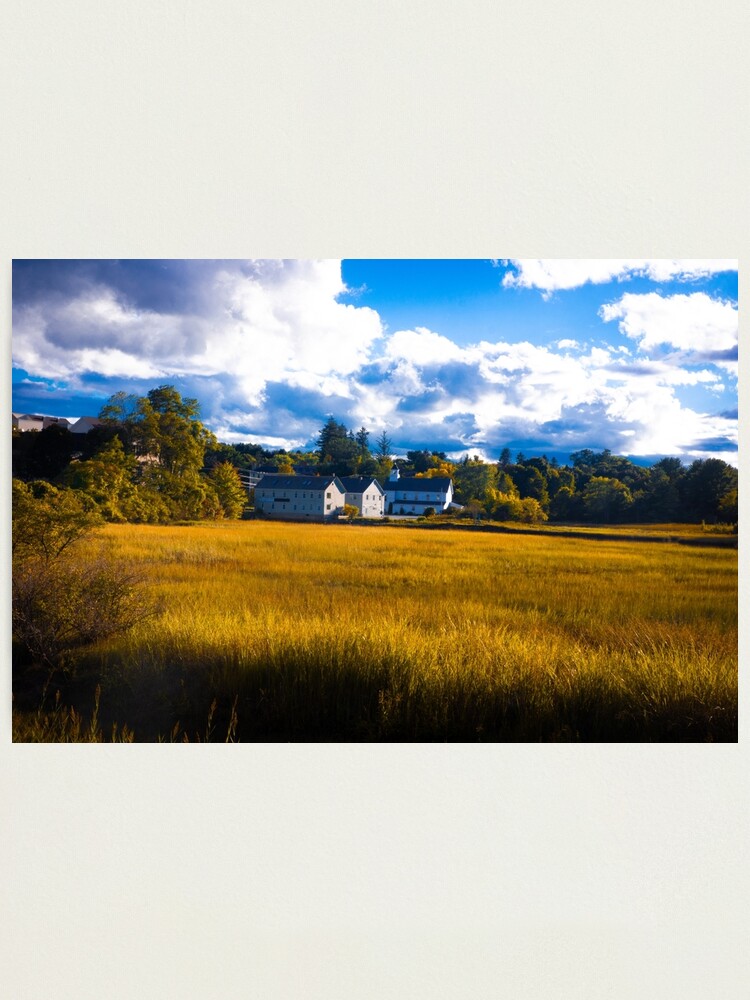 Alternate view of Salt Marsh Homes Photographic Print