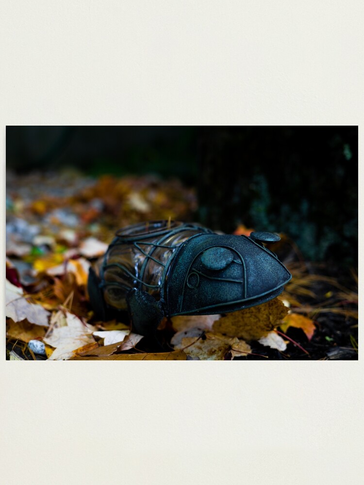Alternate view of untitled Photographic Print