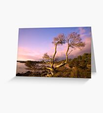 Coffin Bay Sunset Greeting Card