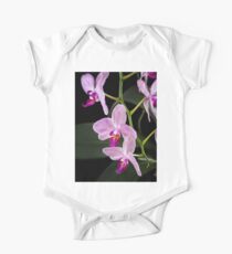 Orchid - 37 One Piece - Short Sleeve