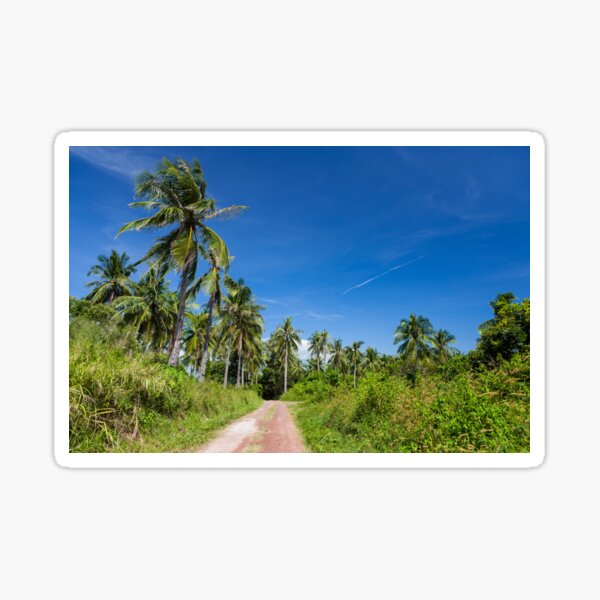 Road with palm trees and clear blue sky Sticker