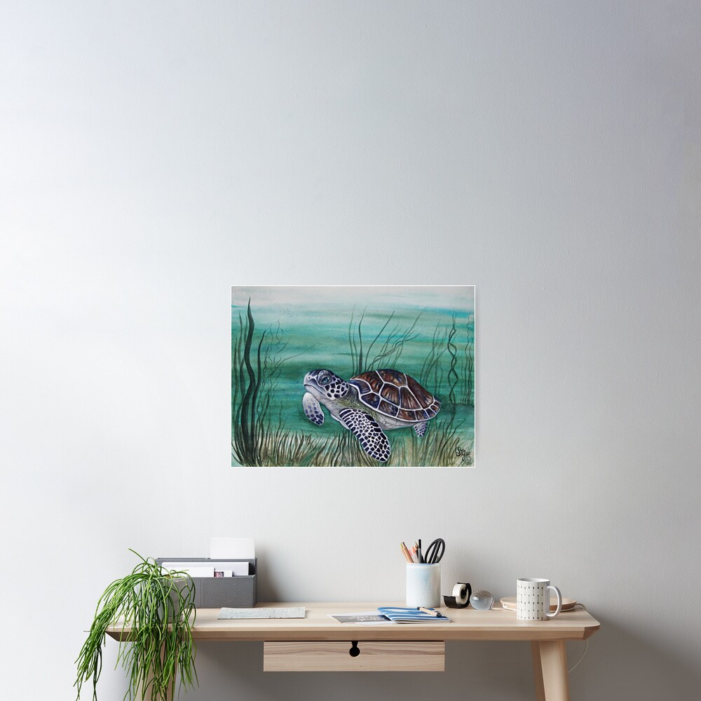 Hawksbill Sea Turtle Poster