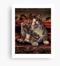Spice (Take 2) Canvas Print