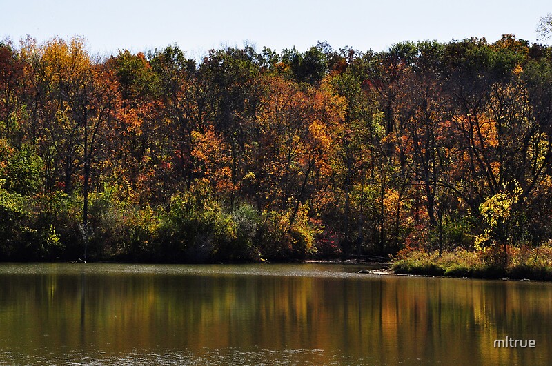 "Autumn at Prairie Creek ReservoirMuncie Indiana" by mltrue Redbubble
