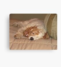 Matti Canvas Print
