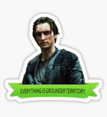 EVERYTHING IS GROUNDER TERRITORY Sticker