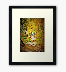 The Runner. Framed Print