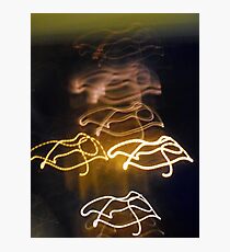 amphibians Photographic Print