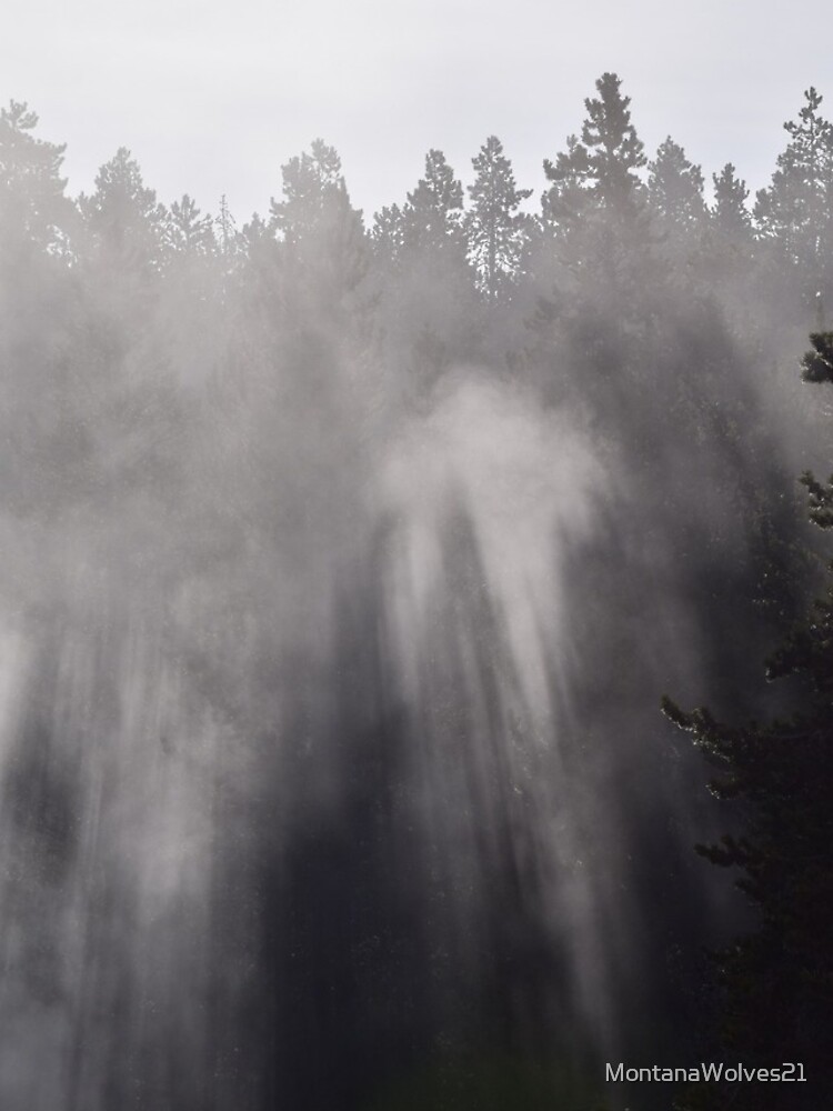 Foggy Forest by MontanaWolves21