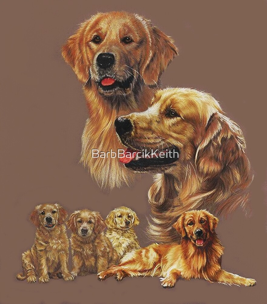 "Golden Retriever Collage" by BarbBarcikKeith | Redbubble
