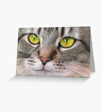 Amber Eyes Greeting Card