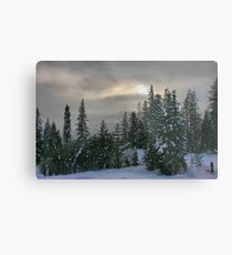 Winter Scene Metal Print