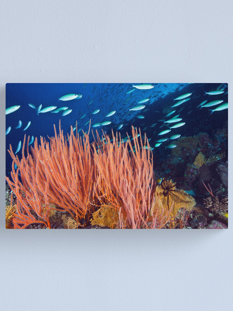 Alternate view of Wheeler Reef garden Canvas Print