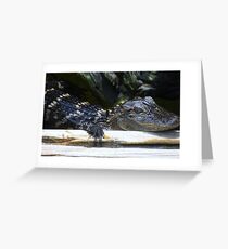 Baby Alligator Greeting Card