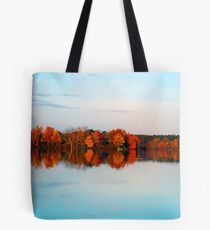 Kodachrome Tote Bag