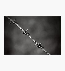 'barbed' Photographic Print