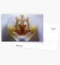 super macro orchid Postcards