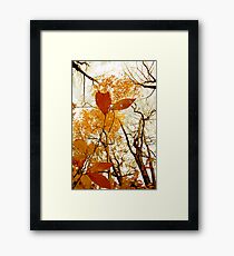 Withering Heights Framed Print