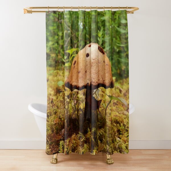 Alaska Mushroom - unidentified type Shower Curtain