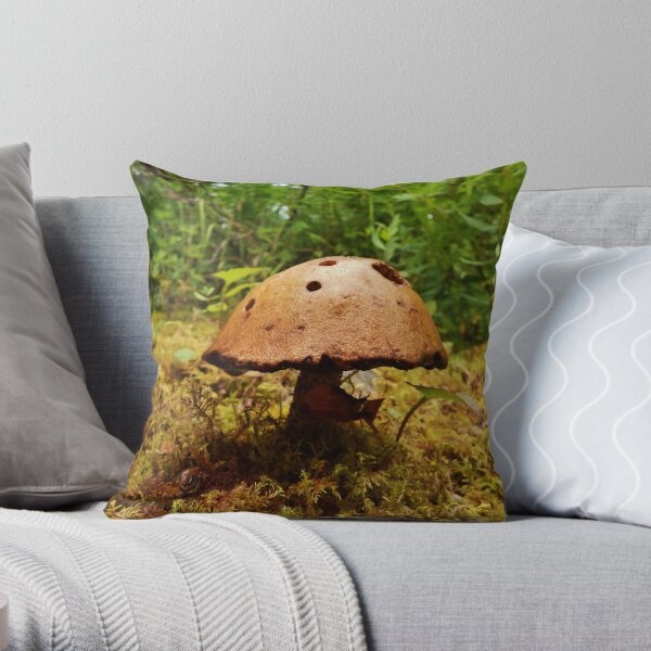 Alaska Mushroom - unidentified type Throw Pillow