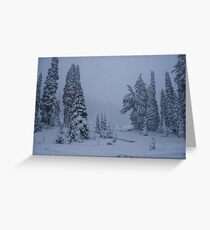 First Snowstorm Greeting Card