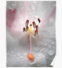 "moisture content" Poster