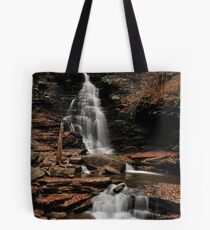 Ricketts Glen Tote Bag