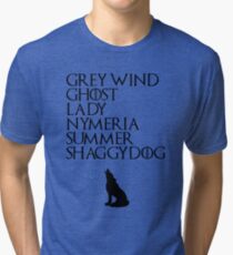 Stark Direwolves Tri-blend T-Shirt