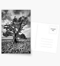 Corinella Star Postcards